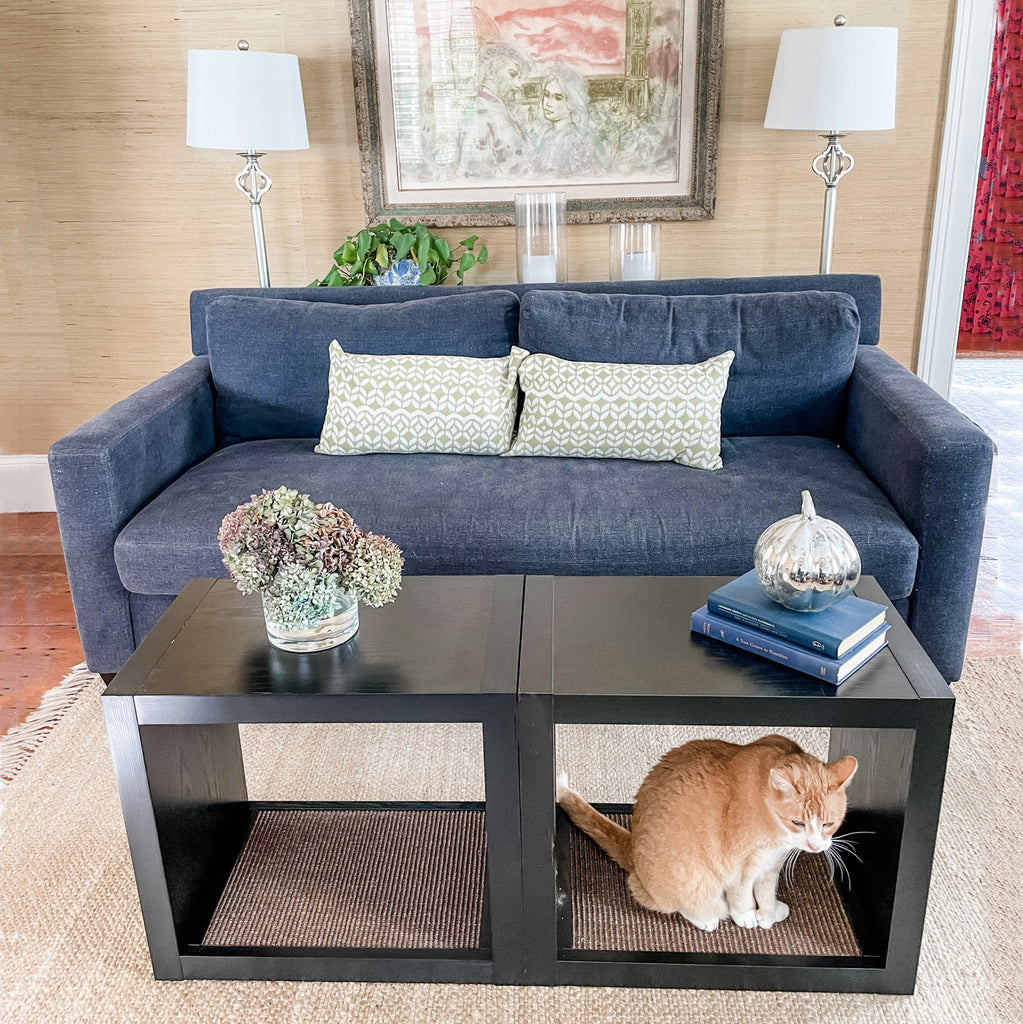 cat scratcher coffee table in living room with pottery barn couch and orange cat