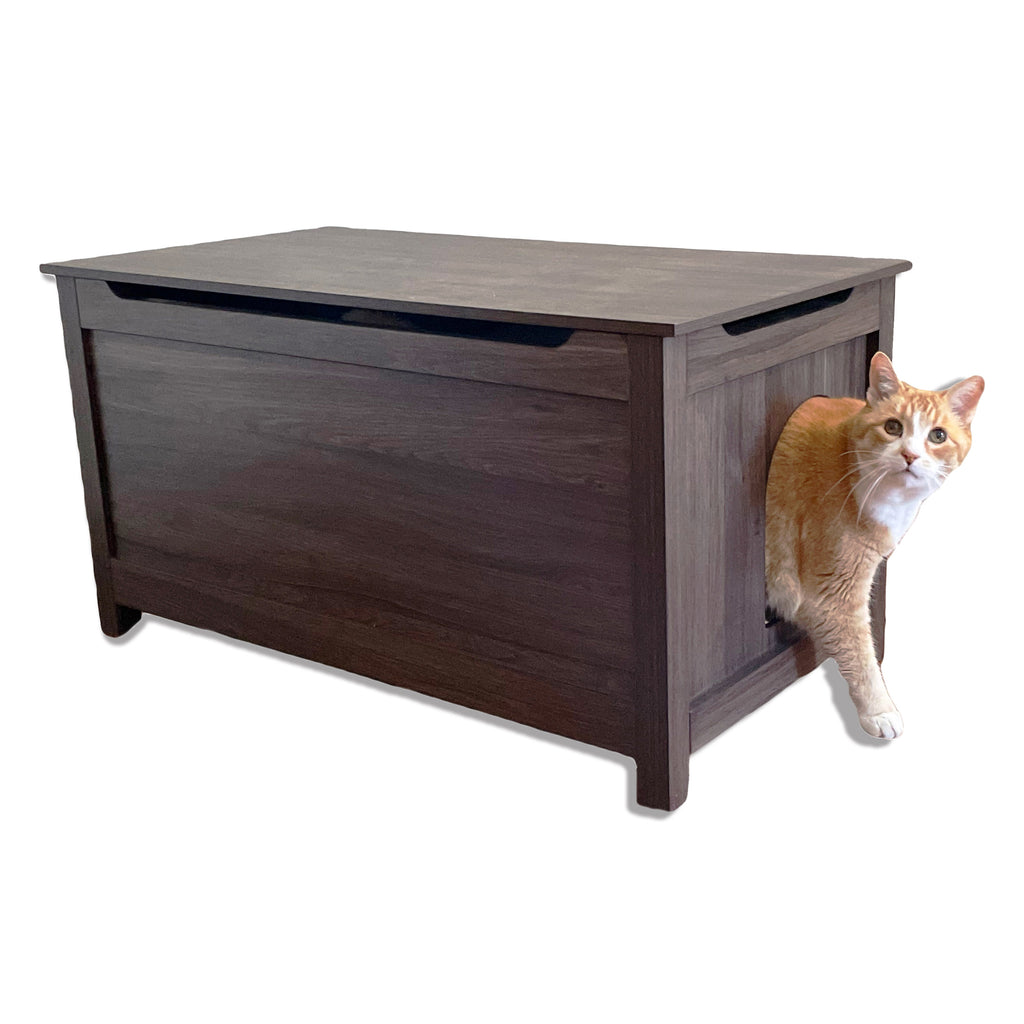 orange cat coming out of hidden litter box furniture chest