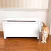 orange cat and hidden litter box furniture chest